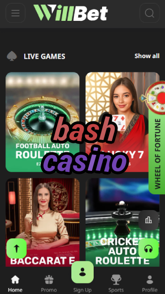 Bash Casino - Party-Themed Casino Platform-casinobeek.ydblkf.net